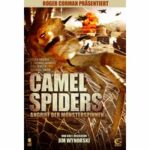 Camel Spiders