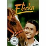Flicka (DVD)