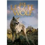 Der letzte Wolf