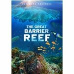 The Great Barrier Reef