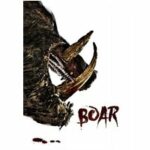 Boar