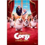Royal Corgi