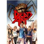 Dead Ant