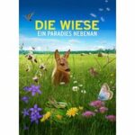 Die Wiese