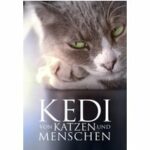 Kedi