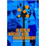 In Berlin wächst kein Orangenbaum