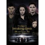 Breaking Dawn - Biss zum Ende der Nacht - Teil 2