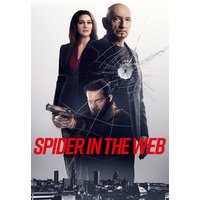 Spider in the Web 1 Spider in the Web