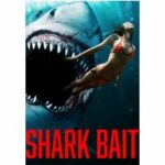 Shark Bait