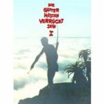 Die Götter müssen verrückt sein (DVD)
