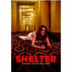 Shelter - You Will Die to Stay Here