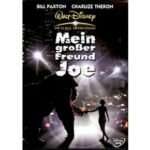 Mein großer Freund Joe (DVD)