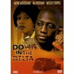Down in the Delta (DVD)