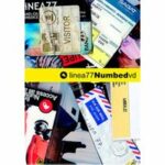 Linea 77 - Numbed (DVD)