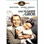 Eine Nummer zu groß (DVD)
