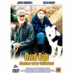 Owd Bob (DVD)