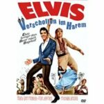 Verschollen im Harem (DVD)