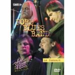 Ford Blues Band - In Concert (DVD)