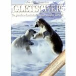Im Schatten der Gletscher (DVD)
