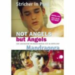 Not Angels but Angels (DVD)