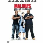 Malibu's Most Wanted (DVD)