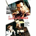 Der versteinerte Wald (DVD)