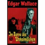 Im Banne des Unheimlichen (DVD)