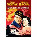 Der gelbe Strom (DVD)