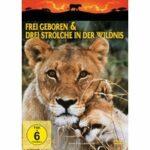Frei geboren & Drei Strolche in der Wildnis (DVD)