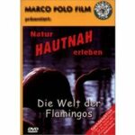 Natur hautnah erleben - Die Welt der Flamingos (DVD)
