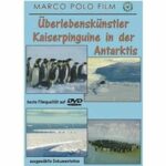 Überlebenskünstler (DVD)