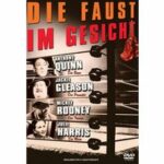 Die Faust im Gesicht (DVD)